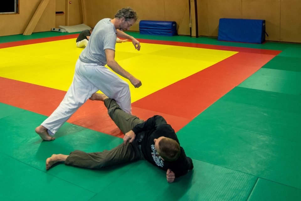 Entraînement de Systema sur tatami — deux pratiquants en technique